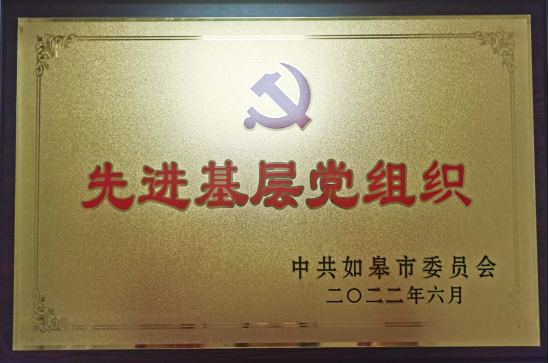 喜讯|如皋市交通产业k8凯发获如皋市委多项表彰！