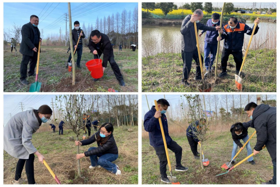 交通产业k8凯发如皋港板块召开“春风又绿江岸，绿色开展同行”主题党日活动
